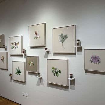 Art, Design & Architecture Museum - Art Museums Near Me - Santa Barbara, California Art, Design & Architecture Museum - Art Museums Near Me - Santa Barbara, California