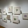 Photo of Art, Design & Architecture Museum