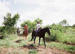 Golden Vista Equestrian Center - equestrian in Austin, TX