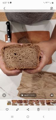 Seed Bakery by null