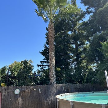 Clark's Tree Works - Tree Services Near Me - Modesto, California