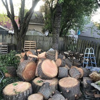 Funky Monkey Tree Service - Firewood for sale - Tree Services Near Me