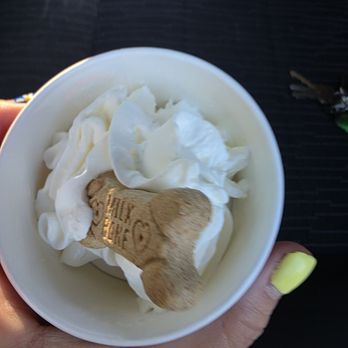 Dutch Bros Coffee - Pup cup - Juice Bars & Smoothies Near Me - Glendale, Arizona