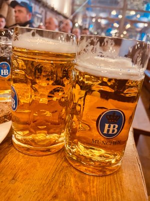Hofbräu by null