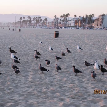 Marina Beach - Watching the sunset - Beaches Near Me - Marina del Rey, California Marina Beach - Watching the sunset - Beaches Near Me - Marina del Rey, California