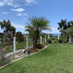 New 3/8 thick glass. Cuts down so much on traffic noise and allows us to see the ocean view now! New 3/8 thick glass. Cuts down so much on traffic noise and allows us to see the ocean view now!