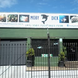 Mobi Dick Aquários e Peixes