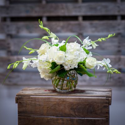 Flowers & Festivities by null