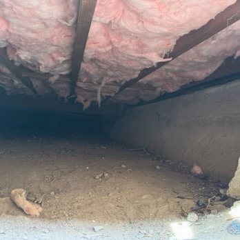 Attical Insulation and Rodents - Insulation Installation Near Me Attical Insulation and Rodents - Insulation Installation Near Me