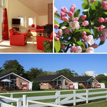 Ferienhäuser Haltermann Fehmarn - Vacation Rentals Near Me - Bojendorf, SH
