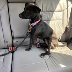 Humane Society of the Tennessee Valley