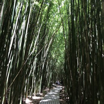 Pipiwai Trail - Hiking Near Me - Hana,, Hawaii