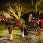 Moonlit Acre Carriages