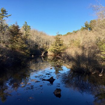 Quogue Wildlife Refuge - Parks Near Me - Quogue, New York Quogue Wildlife Refuge - Parks Near Me - Quogue, New York