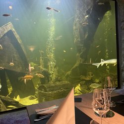 La Mer - Ambiente mit der Sicht ins Aquarium