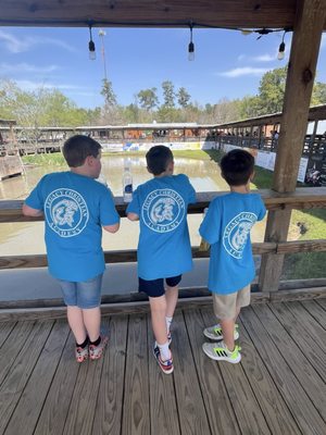 Gator Country by null