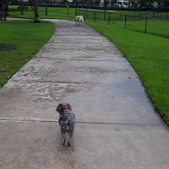 Canine Corner Dog Park - Phew! This place is huge ! - Dog Parks Near Me - Pompano Beach, Florida