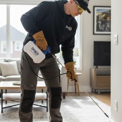 Denco Pest Solutions