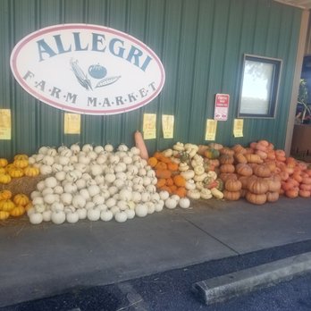 Allegri Farm Market - gorgeous pumpkins - Grocery Near Me - Daphne, Alabama Allegri Farm Market - gorgeous pumpkins - Grocery Near Me - Daphne, Alabama