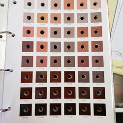 GM Auto Paint Supplies - Looking for a Root beer hue for SassyFrass, think I found her new color
