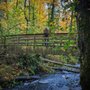 Photo of Bridal Veil Falls
