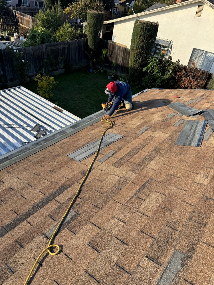 Slide of LXS Roofing