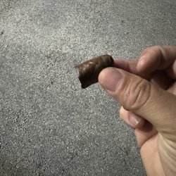 Smokers Abbey