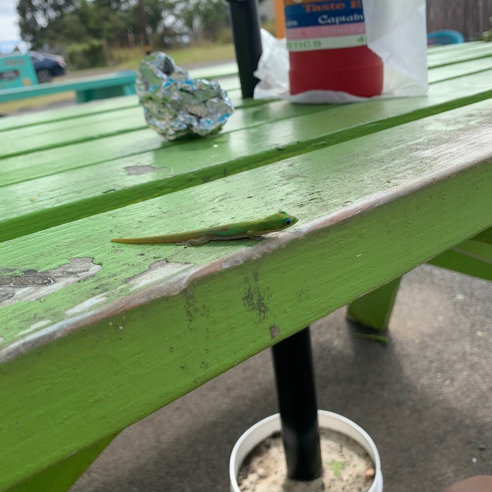 Taco tita - Tacos Near Me - Naalehu, Hawaii