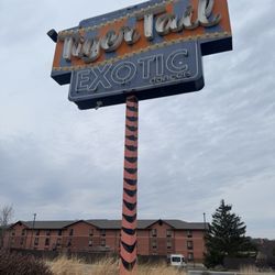 Tiger Tail Lounge