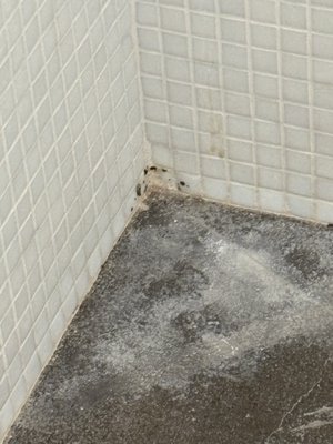 Martis Palace Hotel Rome by null