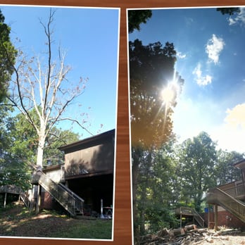 Nova Tree Care Inc. - two photos of the same tree - Tree Services Near Me - Concord, North Carolina Nova Tree Care Inc. - two photos of the same tree - Tree Services Near Me - Concord, North Carolina