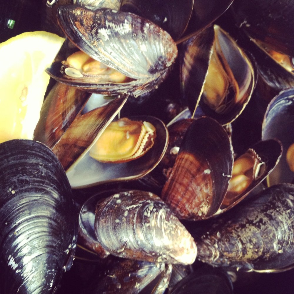 Fitz's Pub - Tasty mussels - Pubs Near Me - Doolin, CE