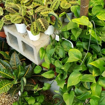 Moana Nursery - Landscaping Near Me - Reno, Nevada Moana Nursery - Landscaping Near Me - Reno, Nevada