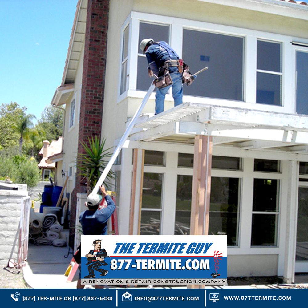 Slide of The Termite Guy