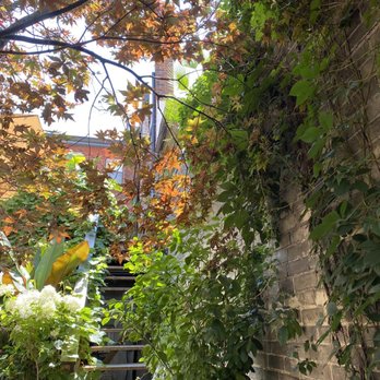 Cafe 23 - Coffee & Tea Near Me - Toronto, Ontario