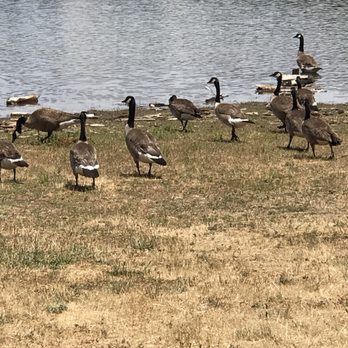 Pardee Lake Recreation - Fishing Near Me - Ione, California