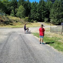 This little goat followed us to the gate. Very cute