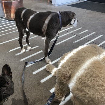 Marlena - Doggy friendly - Coffee & Tea Near Me - Long Beach, California Marlena - Doggy friendly - Coffee & Tea Near Me - Long Beach, California