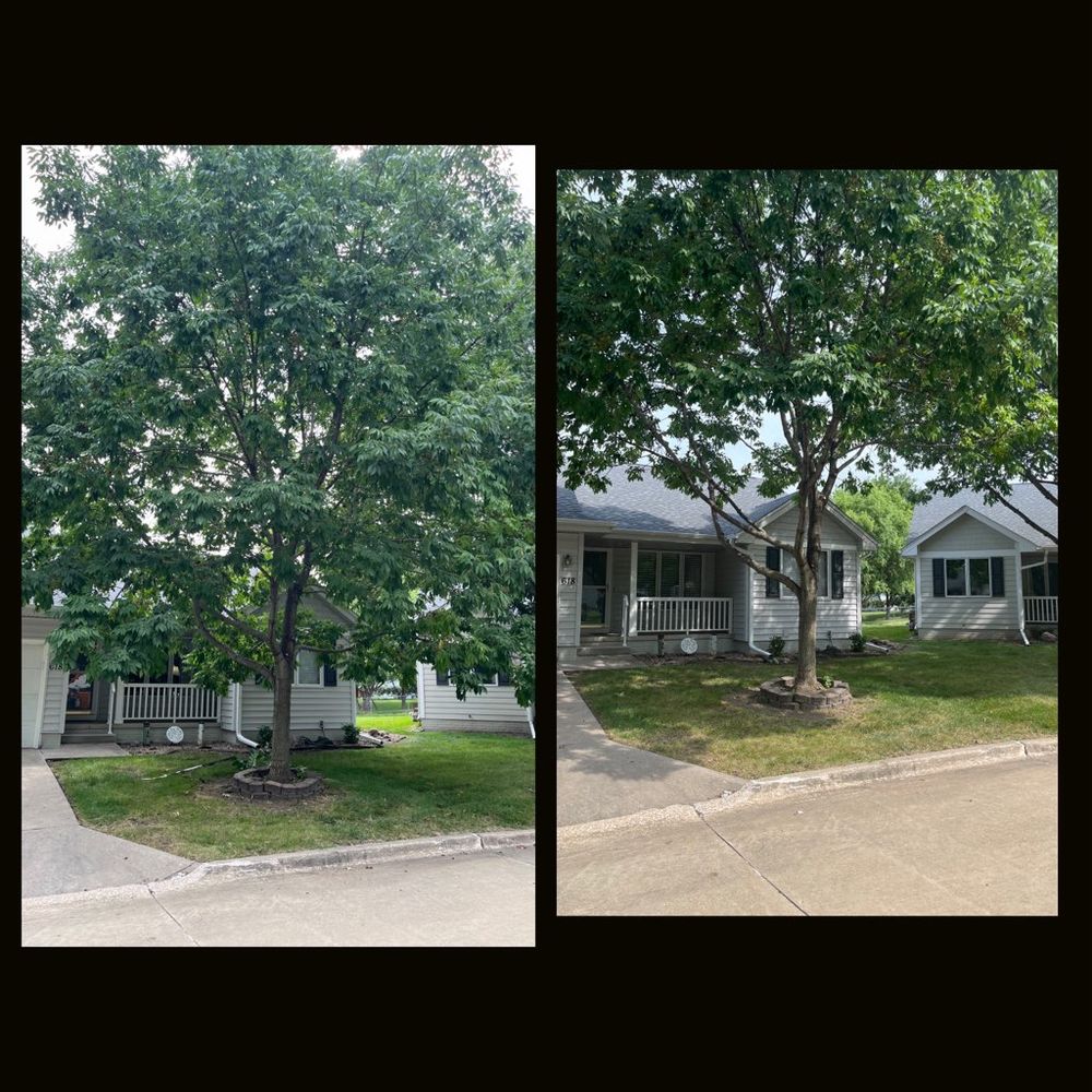 Arborcare & Tree Service by Myers - tree service in Granger, IA