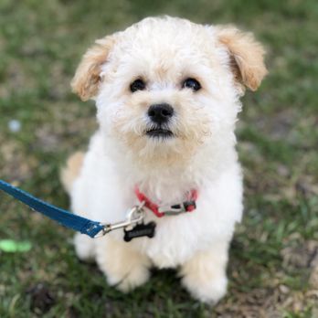 Dawgs N Whiskers - Pet Stores Near Me - Sandy, Utah Dawgs N Whiskers - Pet Stores Near Me - Sandy, Utah