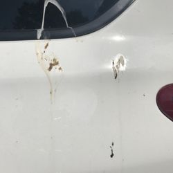 Avis Rent A Car