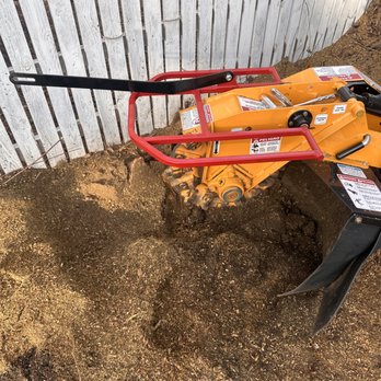 Isaac’s Stump Removal - Tree Services Near Me Isaac’s Stump Removal - Tree Services Near Me