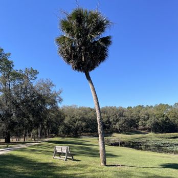 Fiddlers Green RV Ranch - Campgrounds Near Me - Altoona, Florida Fiddlers Green RV Ranch - Campgrounds Near Me - Altoona, Florida