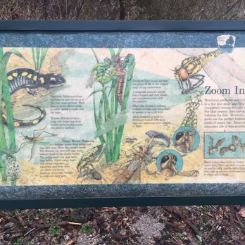 Sharon Woods Metro Park - Love the illustrated, information signs of the inner trails. - Parks Near Me - Westerville, Ohio Sharon Woods Metro Park - Love the illustrated, information signs of the inner trails. - Parks Near Me - Westerville, Ohio
