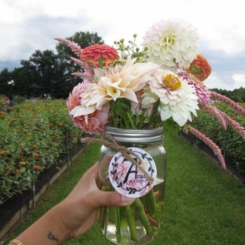 7 Acres Farm - Pick Your Own Farms Near Me - Wethersfield, Connecticut