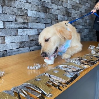 Whole Groom - Pet Groomers Near Me - Surprise, Arizona Whole Groom - Pet Groomers Near Me - Surprise, Arizona