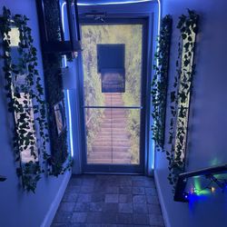 Dreampt - Flipside Speakeasy entrance