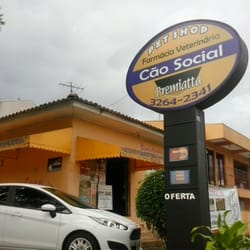 Cão Social