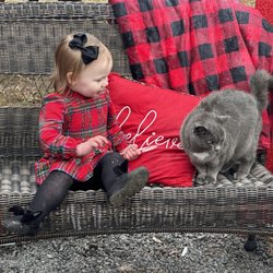 The Red Barn Farm