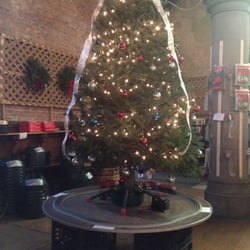Tree Barn - Tree sample and stands in the back